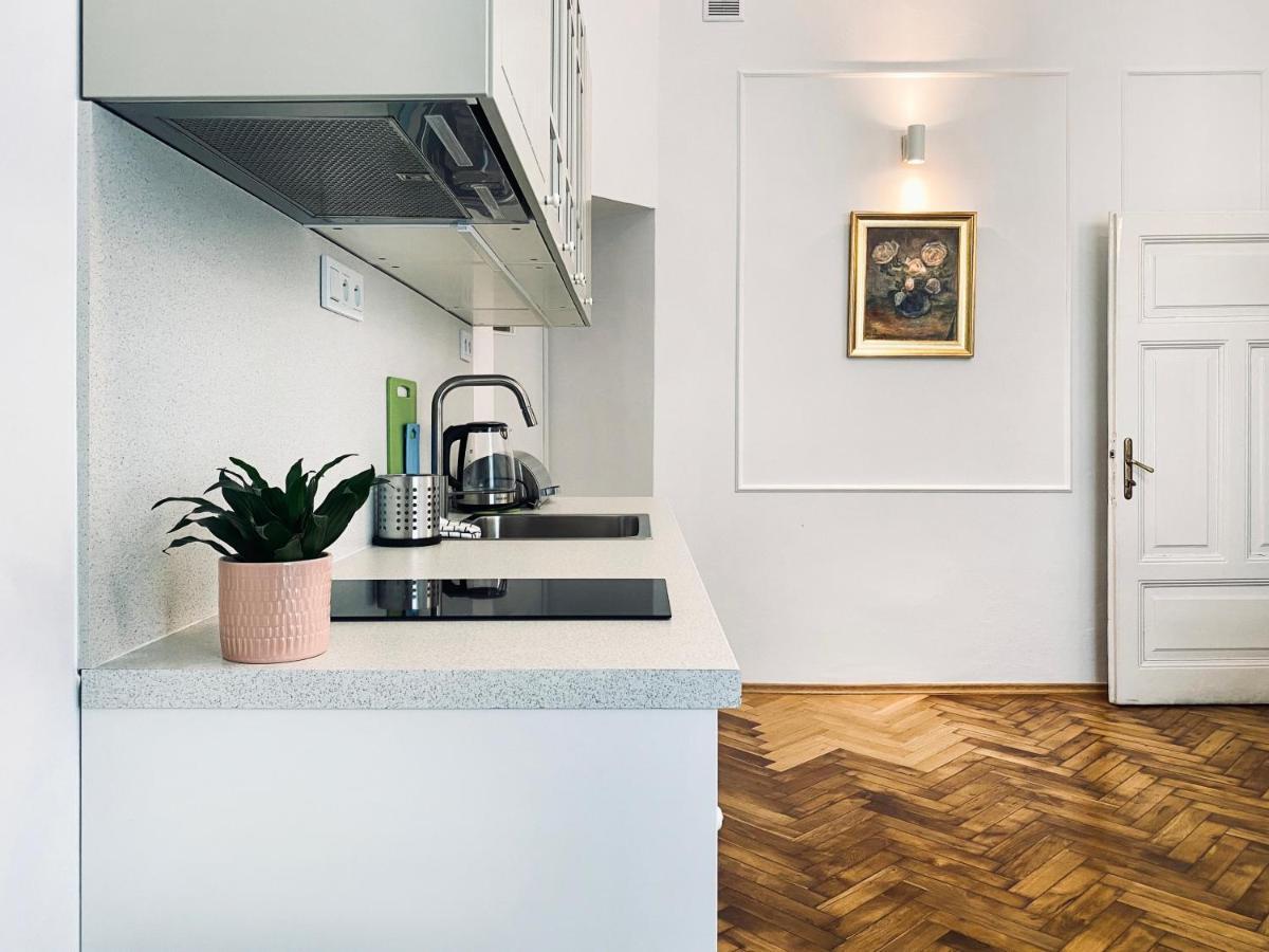 Beautiful With Two Rooms, Cracow Old Town Apartment
